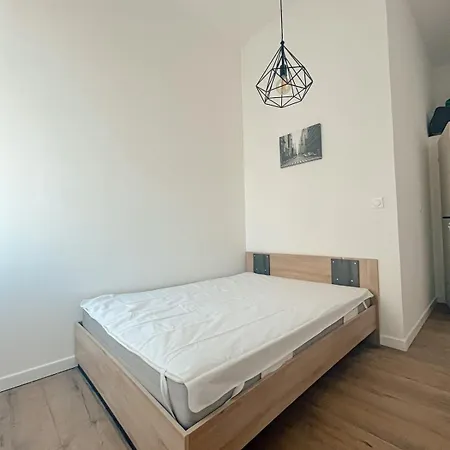 Festival Park Luxe 公寓 芒通